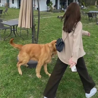我的白鲸男友第一季